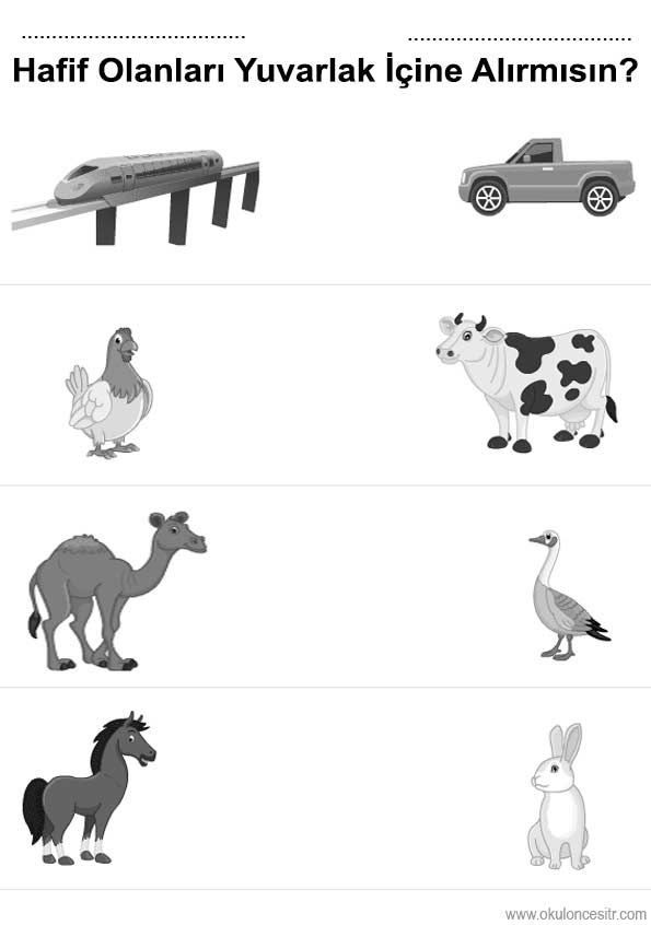Ağır Hafif Çalışma Sayfası