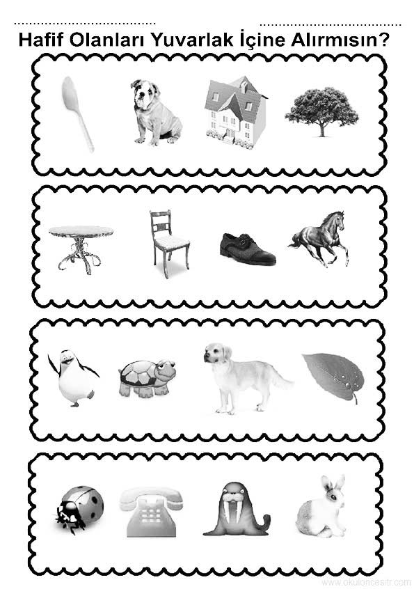 Ağır Hafif Çalışma Sayfası