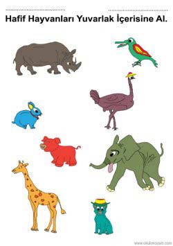 agirhafifkavramirenkli ()-1502909806gkn48