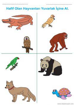 agirhafifkavramirenkli ()-15029099894n8gk