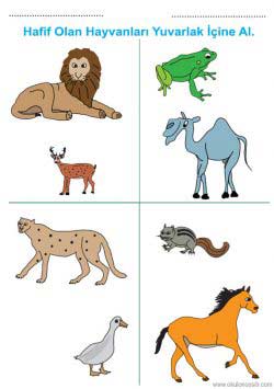 agirhafifkavramirenkli ()-1502910013k8g4n