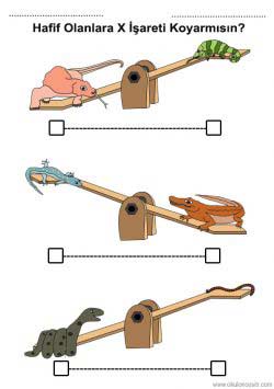 agirhafifkavramirenkli ()-150291010348kgn