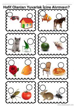 agirhafifkavramirenkli ()-15029102898kng4