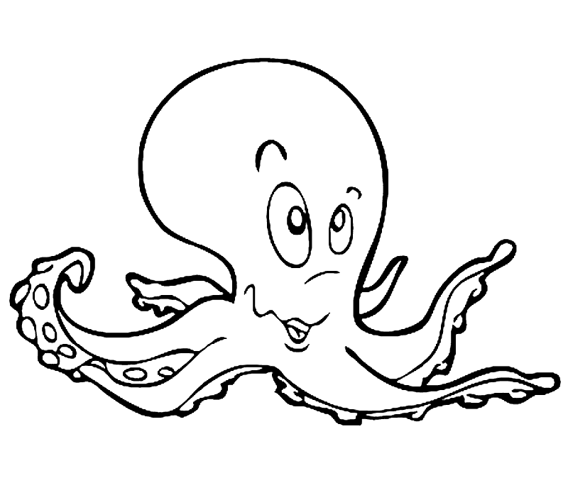 Ahtapot Boyama Sayfası