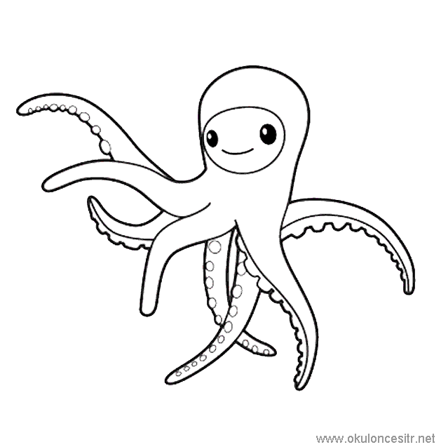 Ahtapot Boyama Sayfası