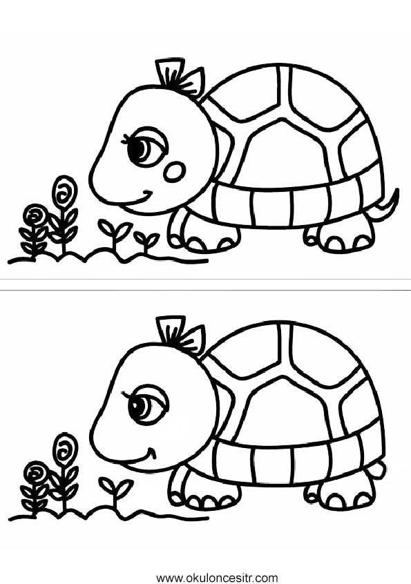 Kaplumbağa Aradaki Farkı Bul Sayfası