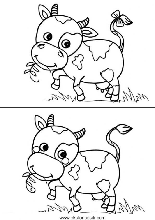 İnek Aradaki Farkı Bul Sayfası