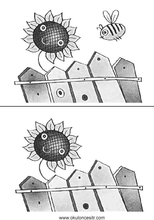 Ayçiçek Aradaki Farkı Bul Sayfası