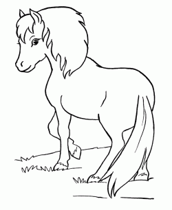 atboyamasayfasihorse ()-150325104648nkg