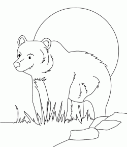 ayiboyamasayfasibear ()-15032529884g8nk