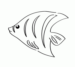 balikboyamasayfasifish ()-1503256128n4g8k