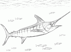 balikboyamasayfasifish ()-15032568844nk8g