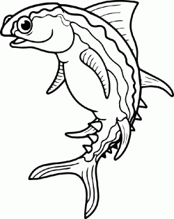 balikboyamasayfasifish ()-1503263197k8ng4