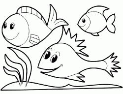 balikboyamasayfasifish ()-1503263580gk4n8