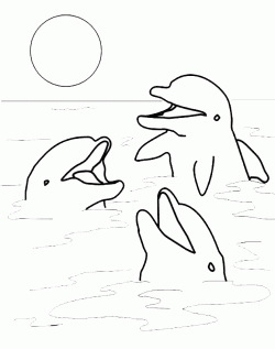 balikboyamasayfasifish ()-1503263712n4gk8