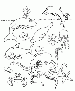 balikboyamasayfasifish ()-15032639224k8gn