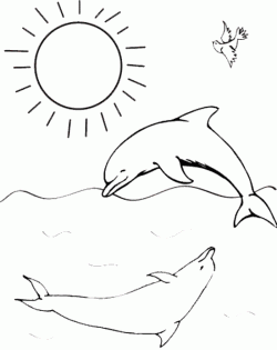 balikboyamasayfasifish ()-1503264112gnk84