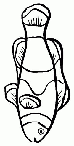 balikboyamasayfasifish ()-150326425784kgn