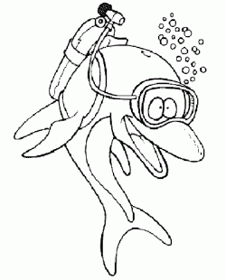 balikboyamasayfasifish ()-1503264400ngk48