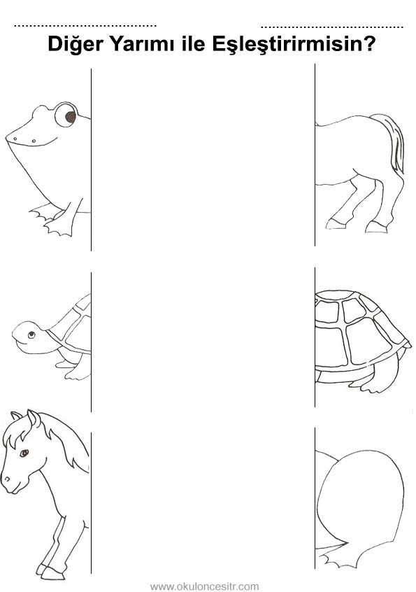 Bütün Tam Yarım Çalışma Sayfası