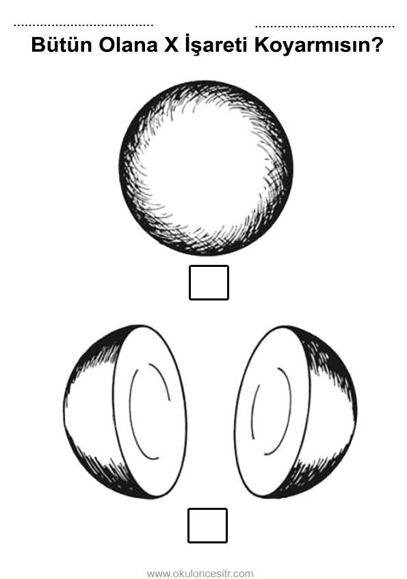 Bütün Tam Yarım Çalışma Sayfası