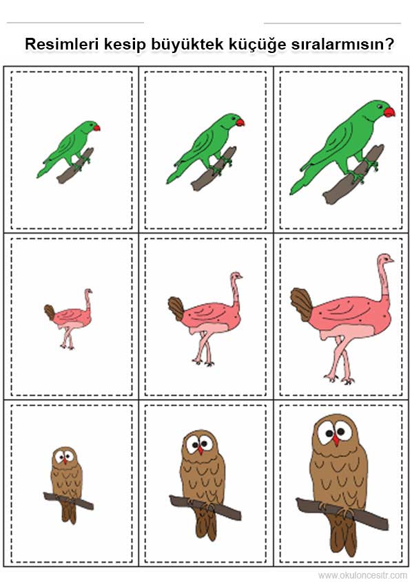 Büyük Küçük Renkli Çalışma Kağıdı