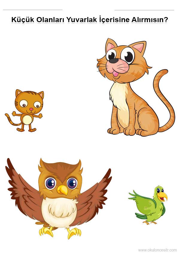 Büyük Küçük Renkli Çalışma Kağıdı