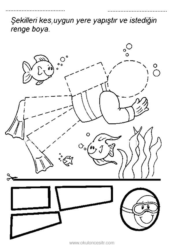 Daire Kavramı Çalışma Sayfası