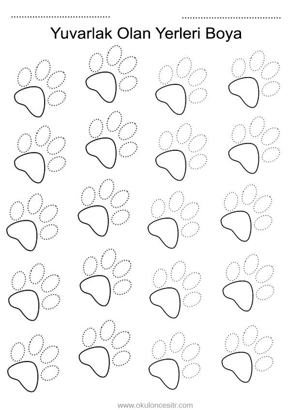 Daire Kavramı Çalışma Sayfası