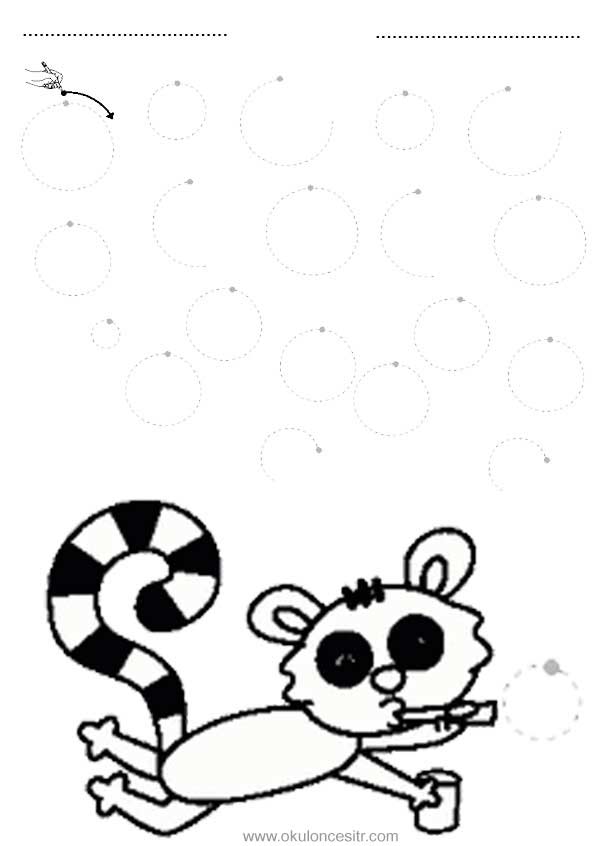 Daire Kavramı Çalışma Sayfası