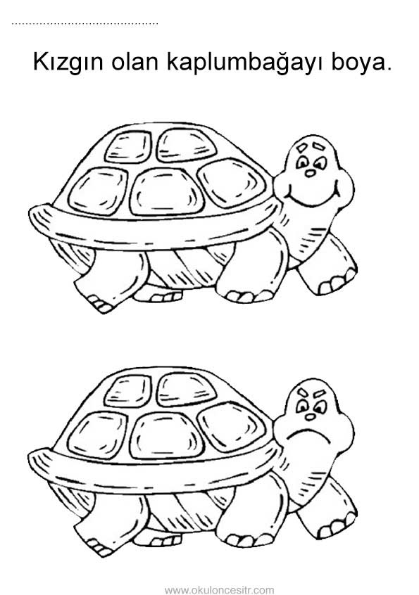 Duygu Kavramı Sayfası