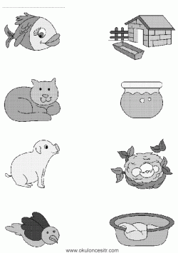 eslestirmesayfalarimatchingworksheets ()-15028710354gk8n