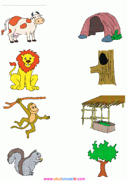 eslestirmesayfalarimatchingworksheets ()-1502871076kgn84