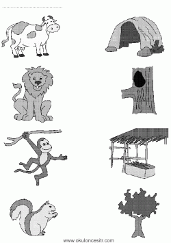 eslestirmesayfalarimatchingworksheets ()-1502871092k4gn8