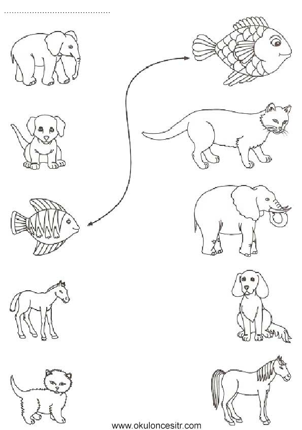 Big small animals. Моделирование животных для дошкольников. Big or small раскраска. Схемы изображения домашних животных для дошкольников. Задание загадочные животные для дошкольников.