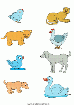 eslestirmesayfalarimatchingworksheets ()-1502871227g48kn