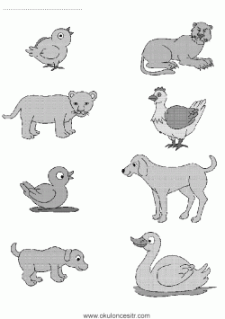 eslestirmesayfalarimatchingworksheets ()-1502871304gkn84