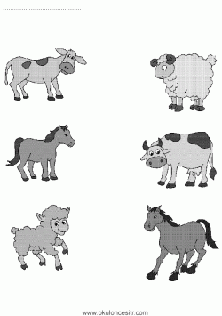 eslestirmesayfalarimatchingworksheets ()-1502871711kgn84