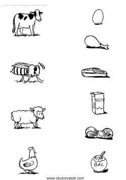 eslestirmesayfalarimatchingworksheets ()-1502871728kgn84