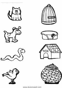 eslestirmesayfalarimatchingworksheets ()-1502871804gnk84