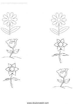 eslestirmesayfalarimatchingworksheets ()-1502871870nk48g