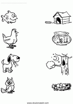 eslestirmesayfalarimatchingworksheets ()-1502871912gn84k