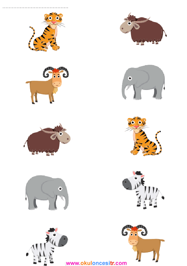 Eşleştirme Çalışma Kağıdı