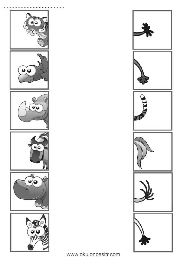 Eşleştirme Çalışma Kağıdı