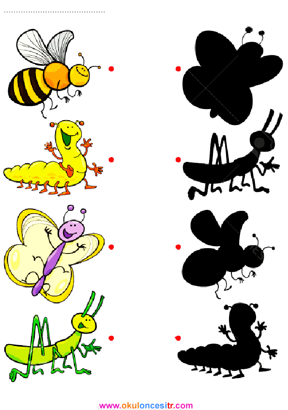 Gölge Eşleştirme Çalışma Sayfası