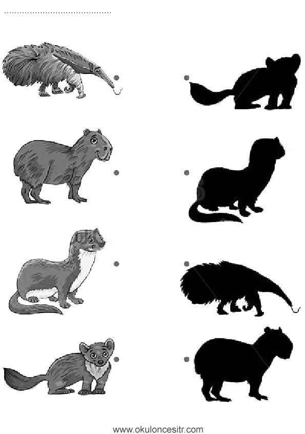 Gölge Eşleştirme Çalışma Sayfası