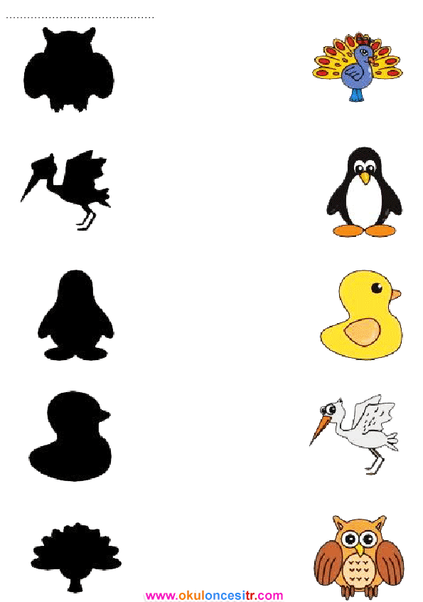 Gölge Eşleştirme Çalışma Sayfası