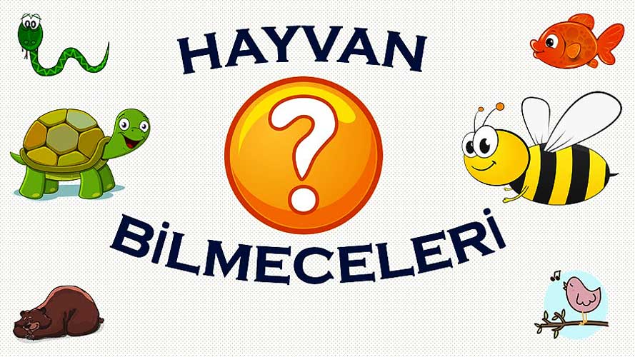 hayvan bilmeceleri okuloncesitr