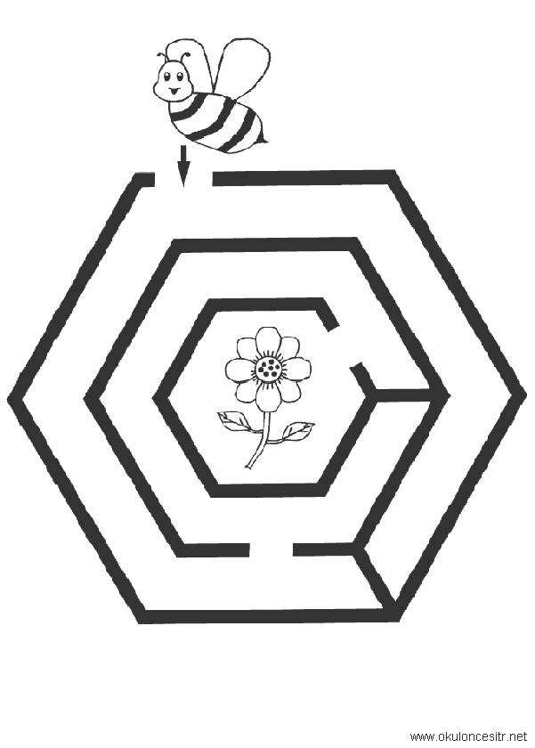 Arı Labirent Bulmaca Sayfası
