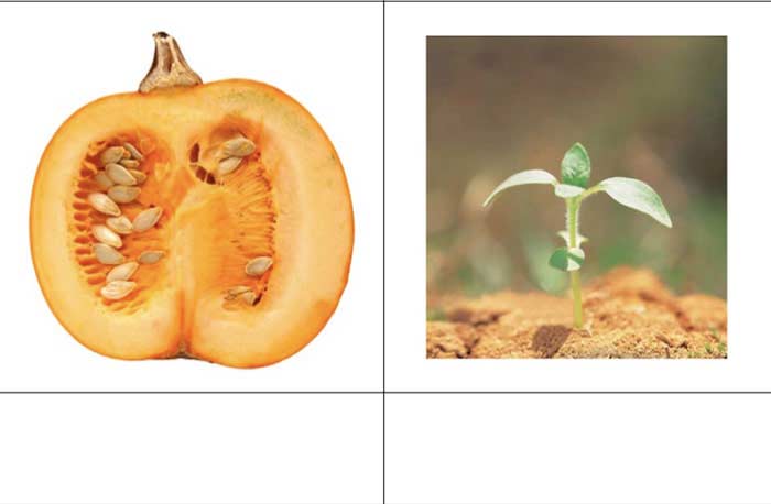 Önce Şimdi Sonra Çalışma Sayfası